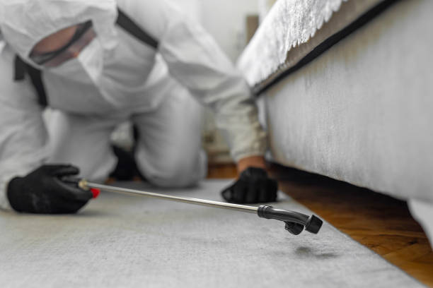 Professional Termite Control technician working in Robstown, TX
