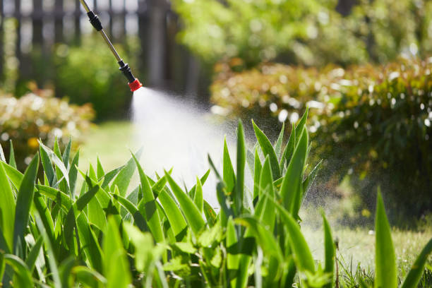 24/7 Emergency Termite Control experts in Robstown, TX