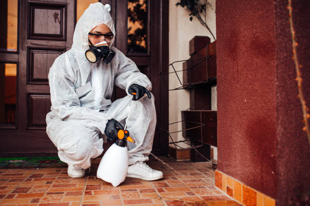 Reliable Termite Control contractor in Robstown, TX by Nex Pest Control